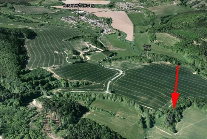 Prodej podílu lesa, Vranová Lhota, 1177 m2