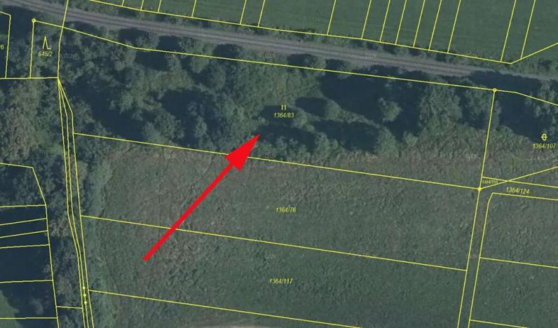 Prodej louky, Hovězí, 4650 m2