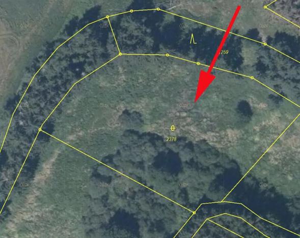 Prodej louky, Brzkov, 4521 m2