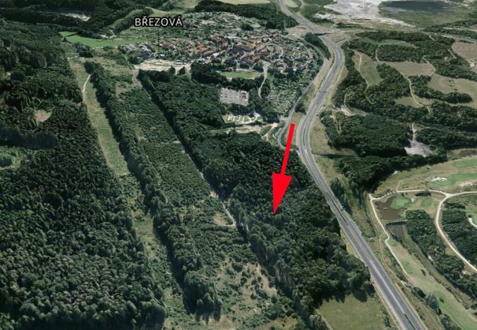 Prodej lesa, Sokolov, 13827 m2