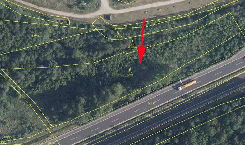 Prodej lesa, Sokolov, 5543 m2