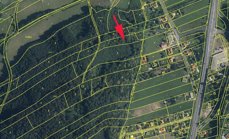 Prodej lesa, Baška, 4109 m2