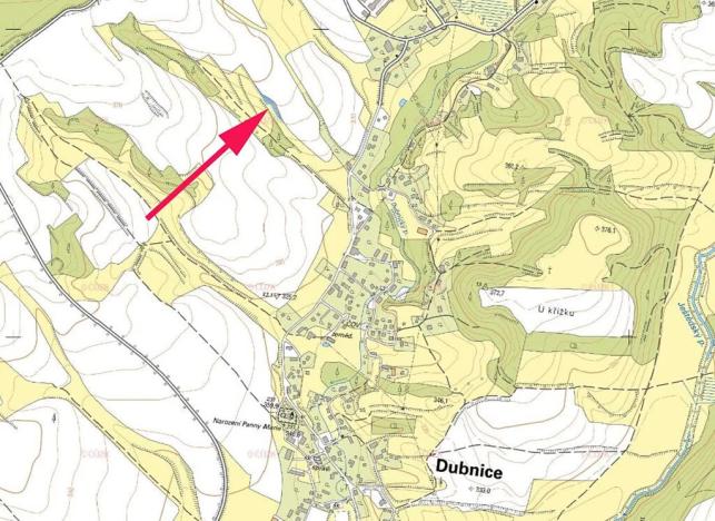 Prodej lesa, Dubnice, 1219 m2