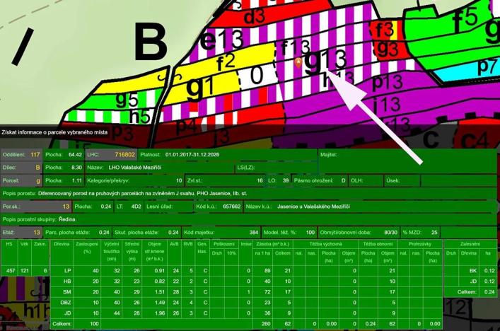 Prodej lesa, Lešná, 10970 m2