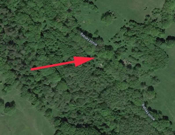 Prodej lesa, Trutnov, 4983 m2