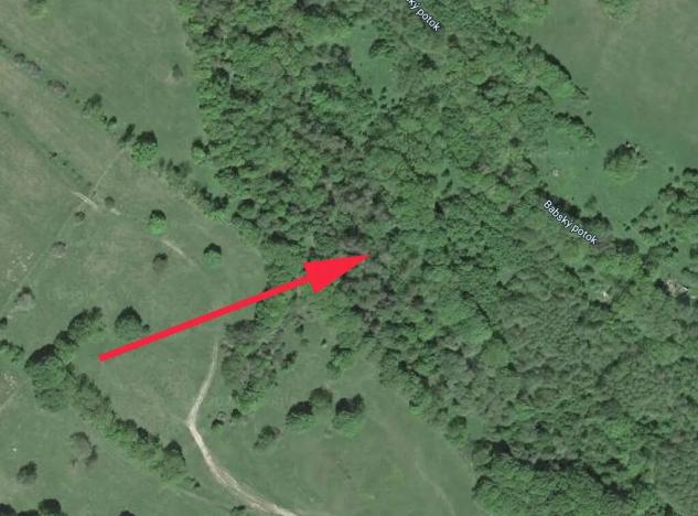 Prodej lesa, Trutnov, 21468 m2