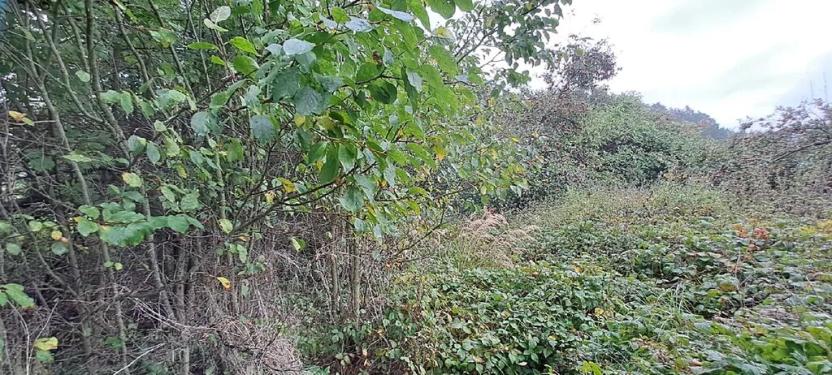 Prodej pozemku pro bydlení, Rabí, 1395 m2