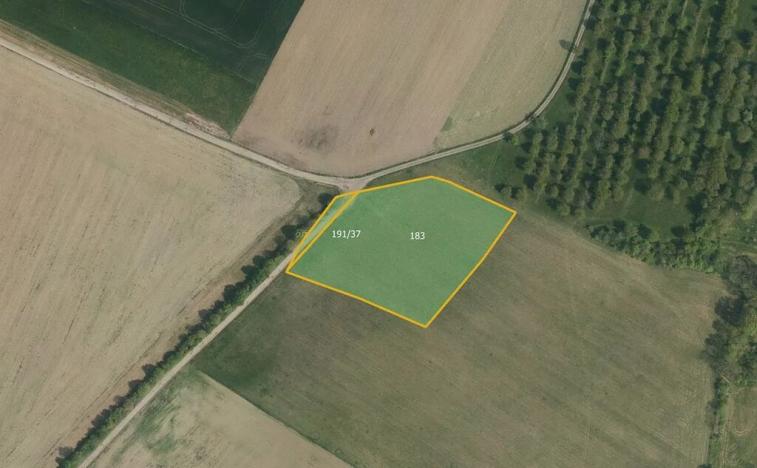 Prodej pole, Luže, 58496 m2