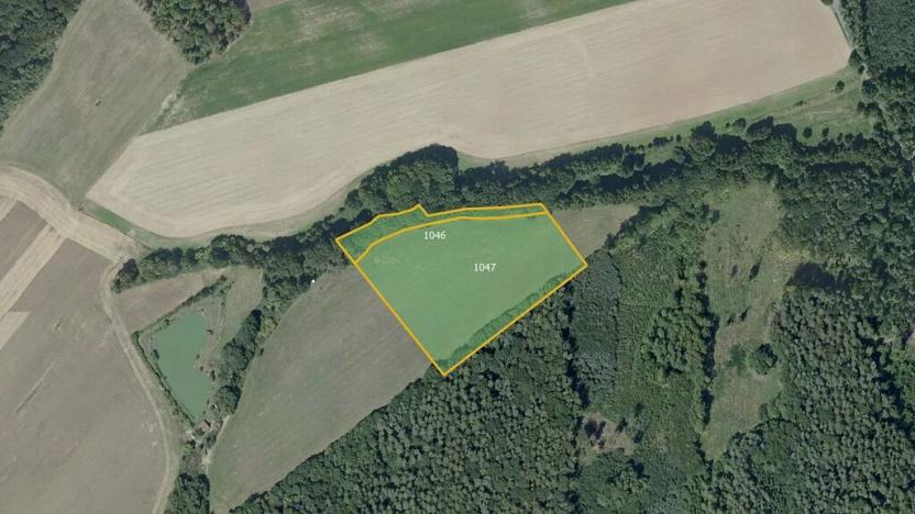 Prodej louky, Štíhlice, 22451 m2