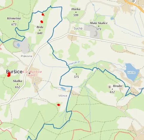 Prodej lesa, Kolinec, 5322 m2