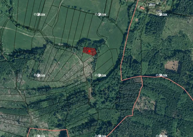 Prodej lesa, Kolinec, 5322 m2