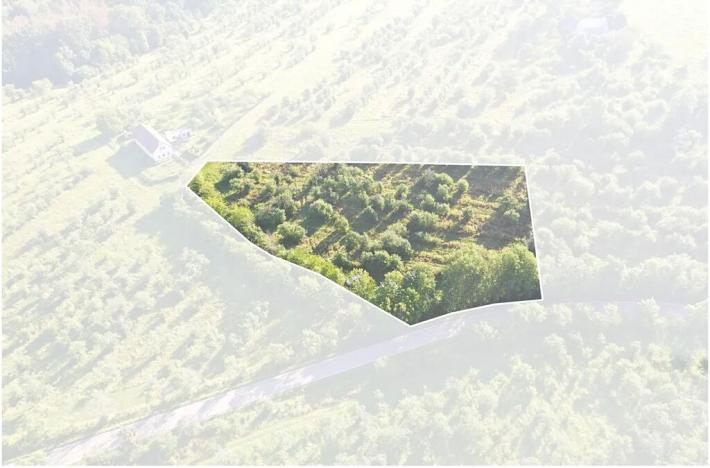 Prodej sadu/vinice, Troskovice, 8502 m2