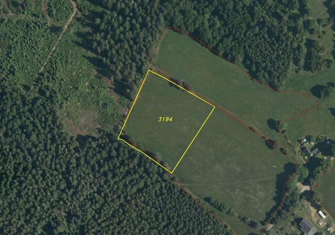 Prodej pozemku, Králíky - Dolní Hedeč, 25968 m2