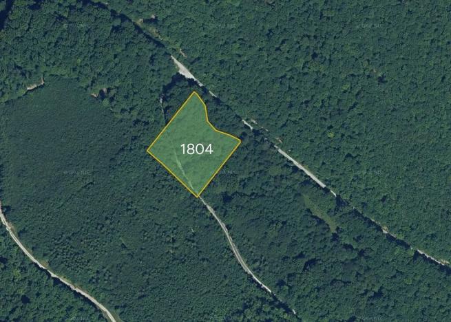 Prodej pole, Zlatníky, Slovensko, 11815 m2