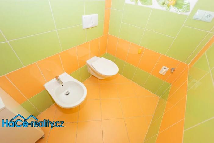 Prodej rodinného domu, Újezd u Chocně, 170 m2