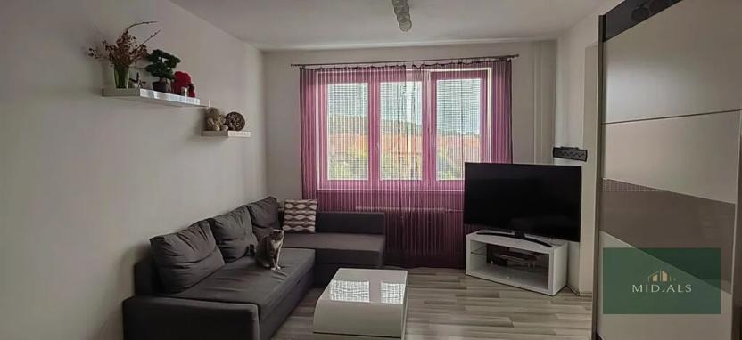 Pronájem bytu 1+kk, Stráž, 42 m2