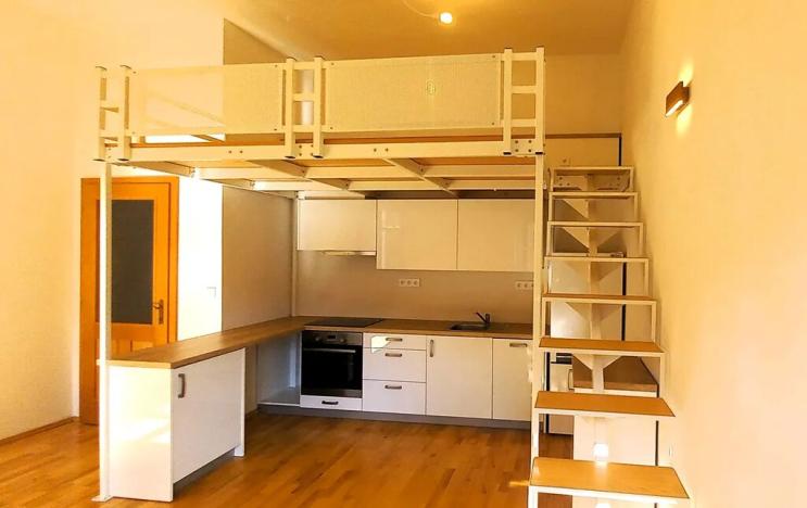 Pronájem bytu 1+kk, Plzeň, Nerudova, 33 m2