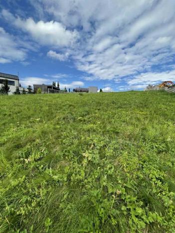 Prodej pozemku, Dlouhý Most, 1108 m2