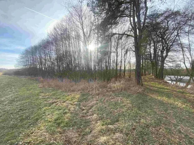 Dražba pozemku, Trstěnice, 1109 m2