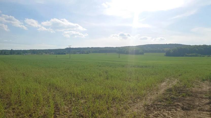 Prodej pozemku pro bydlení, Rokycany, Tymákovská, 12831 m2