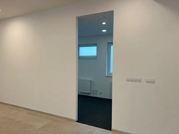 Pronájem obchodního prostoru, Brno, Bratislavská, 235 m2