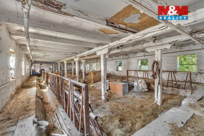 Prodej pozemku pro bydlení, Holice - Roveňsko, 9007 m2