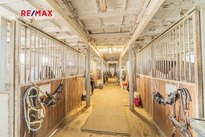 Prodej zemědělské usedlosti, Chlumín, 740 m2