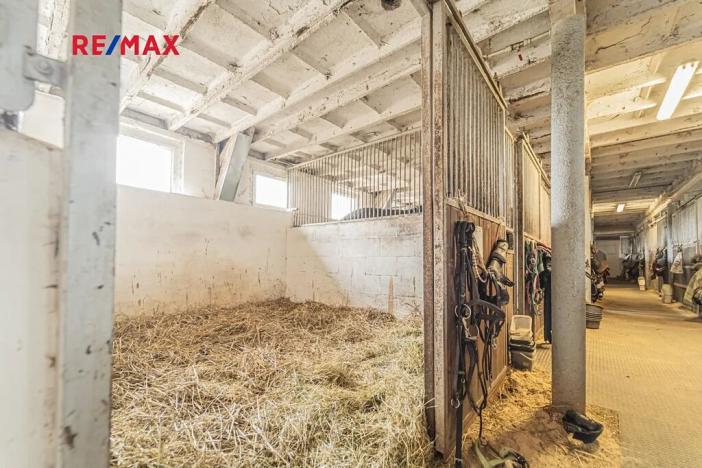 Prodej zemědělské usedlosti, Chlumín, 740 m2