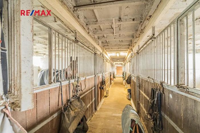 Prodej zemědělské usedlosti, Chlumín, 740 m2