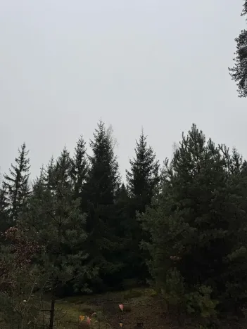 Prodej pozemku, Veliny, 50855 m2