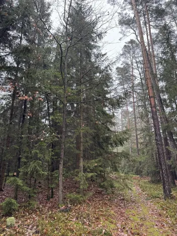 Prodej pozemku, Veliny, 50855 m2