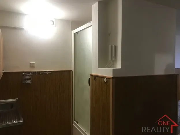 Pronájem bytu 1+kk, Zlín, třída Tomáše Bati, 20 m2