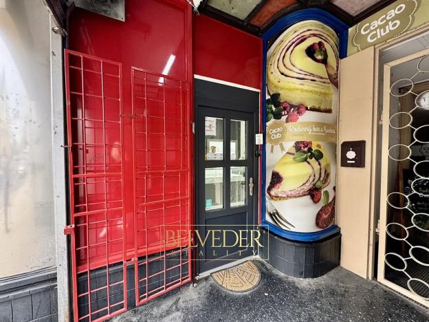 Pronájem obchodního prostoru, Teplice, Masarykova třída, 50 m2