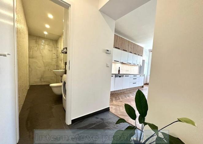 Pronájem bytu 2+kk, Praha - Žižkov, Luční, 82 m2