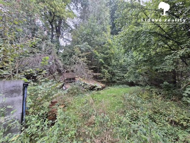 Prodej pozemku pro bydlení, Tichá, 1033 m2