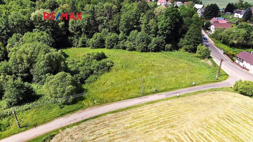 Prodej pozemku pro bydlení, Nový Bor, 2529 m2