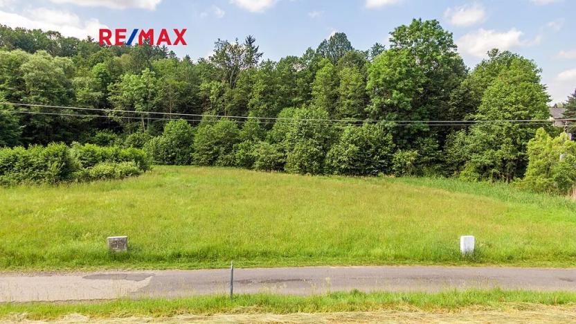 Prodej pozemku pro bydlení, Nový Bor, 2207 m2