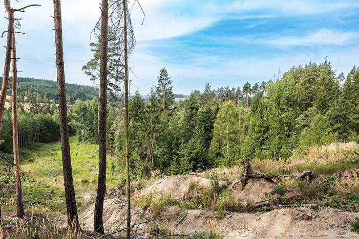 Prodej rodinného domu, Bílkovice, 164 m2