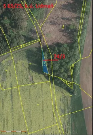 Prodej lesa, Lidmaň, 297 m2