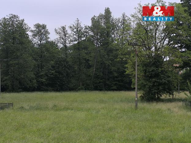 Prodej lesa, Střelské Hoštice - Kozlov, 20128 m2