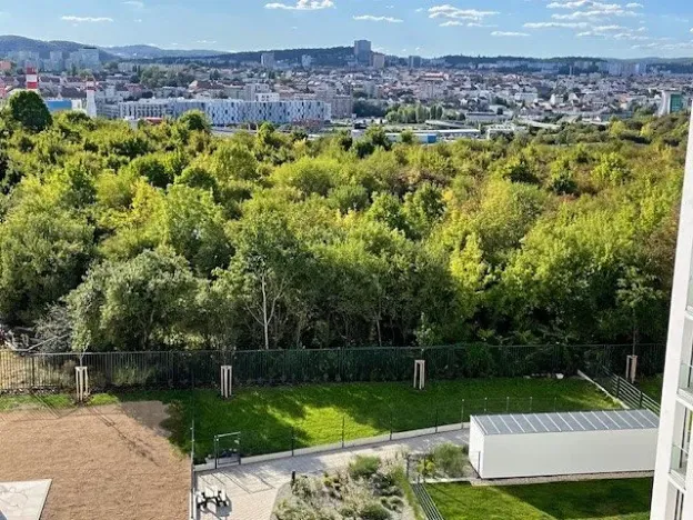 Pronájem bytu 2+kk, Brno, třída Generála Píky, 50 m2