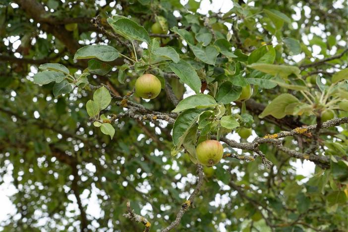 Prodej pozemku, Měňany, 1643 m2