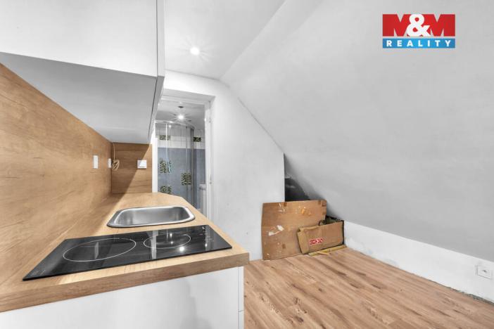 Prodej ubytování, Rokytnice nad Jizerou - Horní Rokytnice, 440 m2