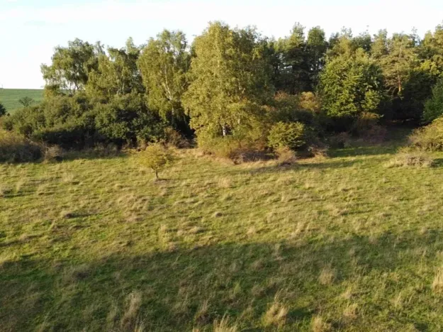 Dražba louky, Žďár, 7261 m2