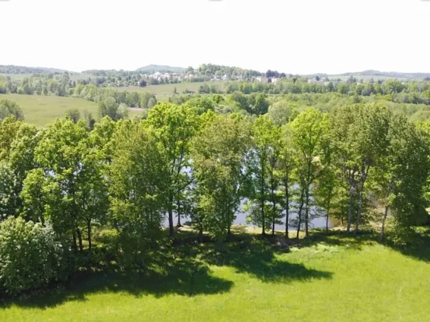 Dražba louky, Šluknov, 1989 m2