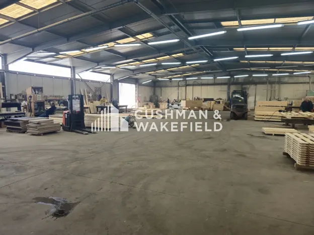 Prodej výrobních prostor, Hradec Králové, Dřevařská, 11800 m2