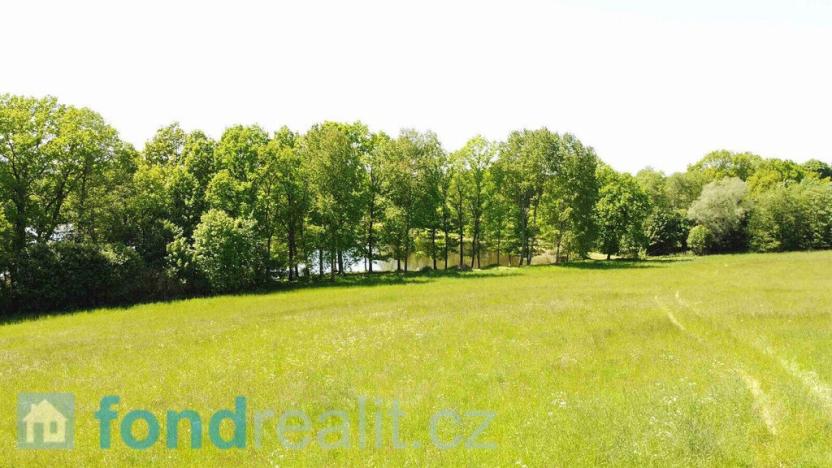 Prodej pole, Šluknov, 1989 m2