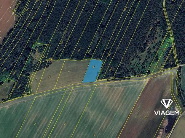 Prodej pole, Velký Borek, 3713 m2