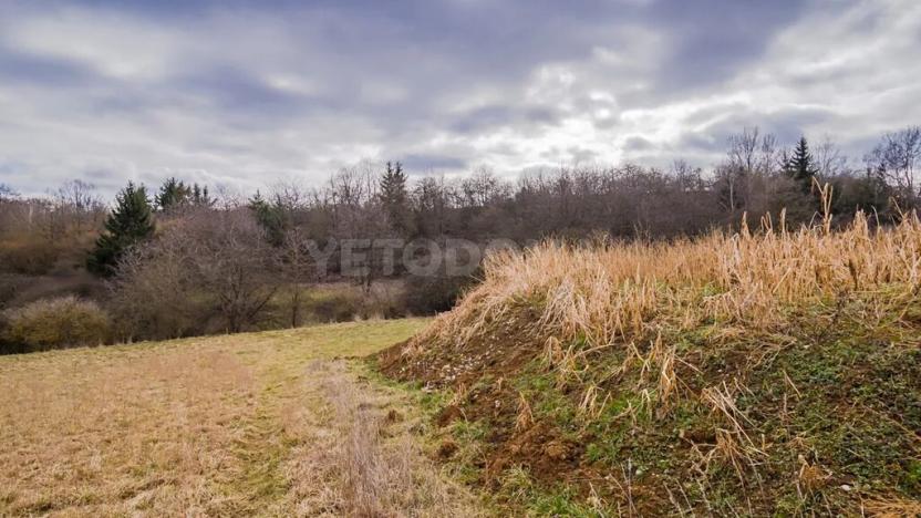 Prodej pozemku pro bydlení, Obora, 1105 m2