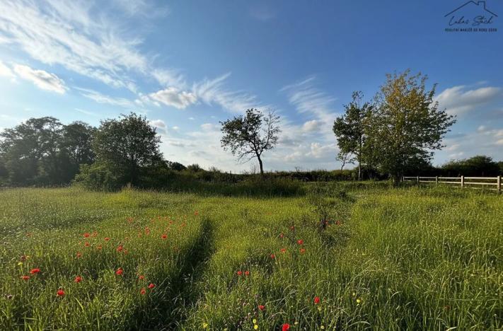 Prodej pozemku pro bydlení, Krušovice, 2750 m2